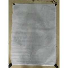 学历证书找不到还能考安管吗